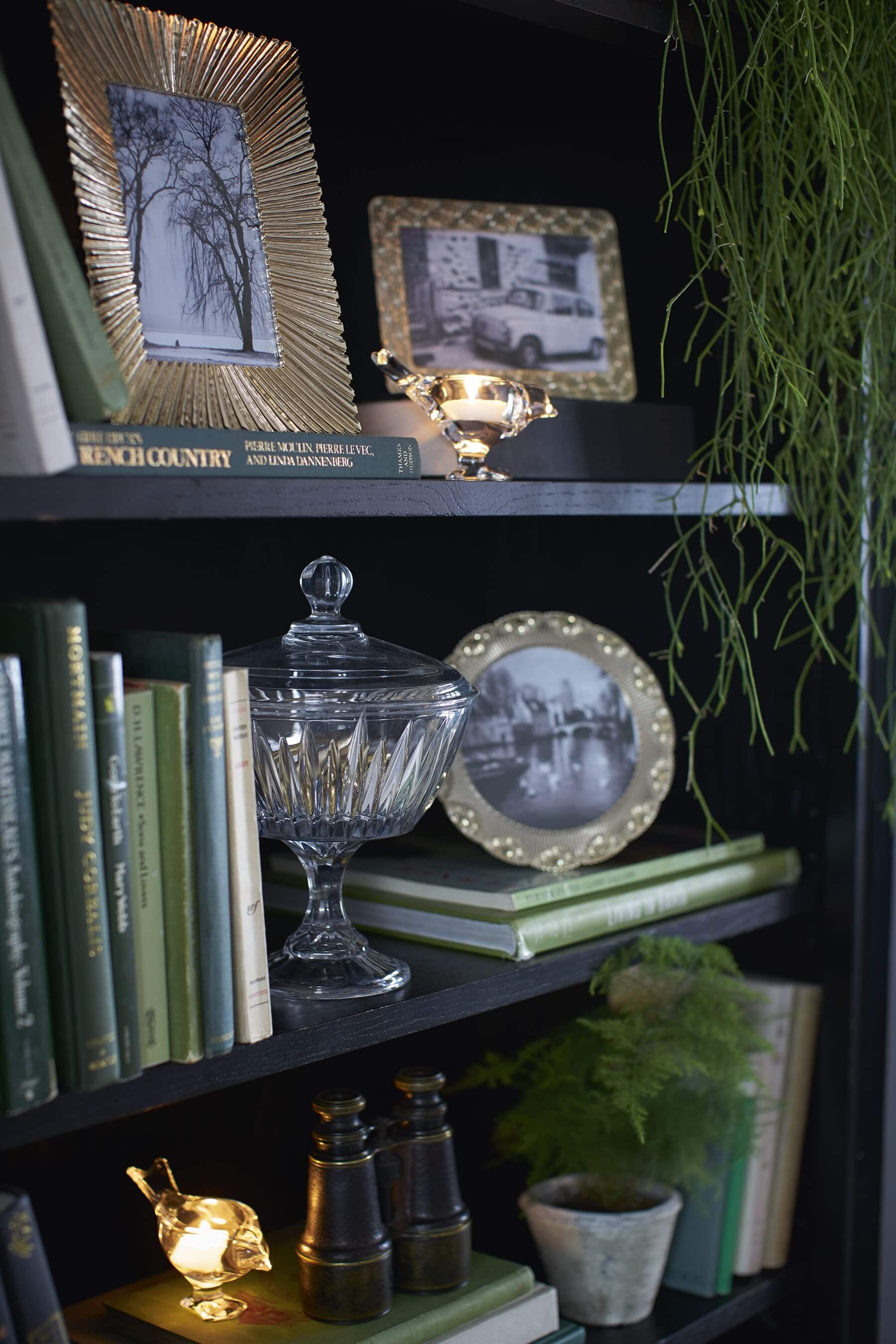 Henshaw 2 Drawer Single Bookcase